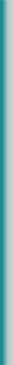 border_left.jpg (6639 bytes)