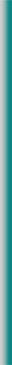 border_right.jpg (6635 bytes)